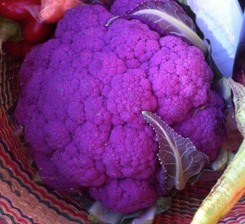 Cauliflower Graffiti 